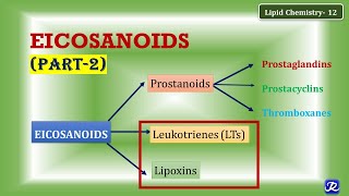 12 Eicosanoids part 2 Leukotrienes Lipoxins  Lipid Chemistry12  Biochemistry [upl. by Cross]