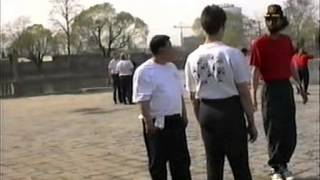 Liang shi bagua basics [upl. by Darius132]