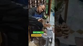 Plants Unboxing🌱 From Haryana  brandnursery review trend [upl. by Engedus]