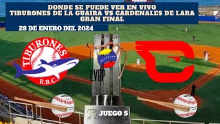 🇻🇪LVBP⚾️Tiburones de la Guaira vs Cardenales de LaraDónde Verlo EN VIVOJuego 5 Gran Final 2024 [upl. by Kakalina]