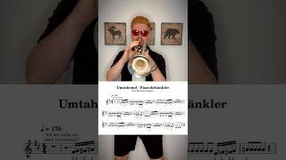 „Umtahemd“  Fäaschtbänkler Trumpetcover LANÄ viral fäaschtbänkler umtahemd shorts trumpet [upl. by Pieter]