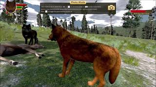 WolfQuest AE Hygge Pack 16  Painful Bear Attack [upl. by Aserahs]