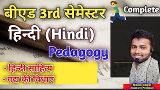 Hindi Pedagogy  बीएड 3rd सेमेस्टर  हिन्दी शिक्षण  Chapter 1amp2 Hindi pedagogy BEd 3rd Semester [upl. by Yenahteb]