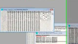 Ollydbg Tutorial 6 [upl. by Karalynn978]