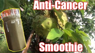 Soursop Banana Smoothie  Alkaline Electric [upl. by Krebs]