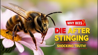 Why Do Bees Die After They Sting The Shocking Truth Revealed 🐝💀 [upl. by Millur]