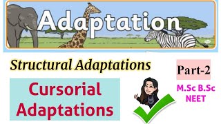 Structural adaptations Cursorial adaptations part2types of adaptationsMSc BSc zoology student [upl. by Anieral]