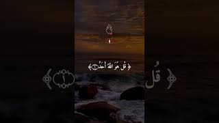 SubhaBakhair Morning Quran🥰 Please subscribe my channel 😭shortsfeed quranrecitation [upl. by Iliak]