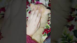 Cuteness 🥰kittenish catlover kittenvideos [upl. by Lothaire421]