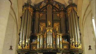 Bach 595 Koopman Schnitger organ Groningen [upl. by Uht]