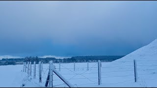 Winterse BEELDEN in de ARDENNEN Lokaal tot 10 cm SNEEUW 271121 [upl. by Teryn129]