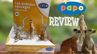 Meerkat review  PAPO 50099 [upl. by Ahsenik647]