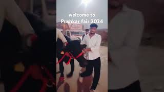 welcome to Pushkar fair 2024 ￼🐫🐫🐫🐫🐎🐎🐎🐎🐎🐃🐃🐃😍😍😍 [upl. by Zolner]