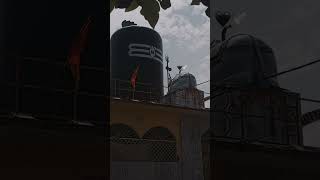 Har har mahakal👁 🕊 mahadevstatus mahadev youtubeshort [upl. by Daphna]