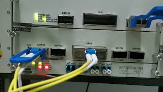 Test 400G and 200G DWDM OTN [upl. by Hannahc]