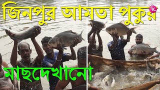 মাছদেখানো জিনপুর গ্রামের আমতা পুকুরে – Fish Show at Jinpur Amta Pukur  Rozina’s Club [upl. by Jerrie]