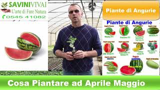 Cosa piantare ad Aprile Maggio [upl. by Sheets]