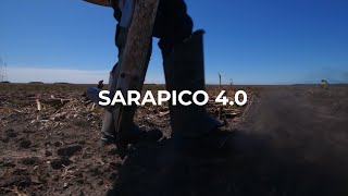 Innovación en la Cadena Forestal  Sarapico 40 [upl. by Christiane]