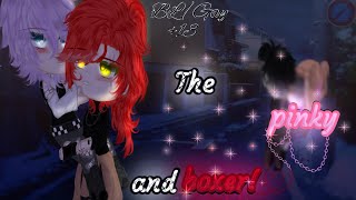 The pinky and boxer  OG  BLGay  Original Gay Gacha movie  13 [upl. by Theurer378]