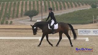 038D Lucinde Van Brakel on Good Knight CCI2 Short Dressage Twin Rivers Ranch Sept 2024 [upl. by Hesler]