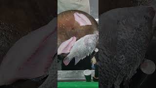 Black Tilapia Fillet fypシ゚viral fishfillet cuttingskils [upl. by Auqenes]