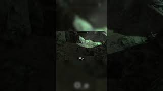 Karliahs stealth stat is off the chart skyrim glitch [upl. by Soutor175]