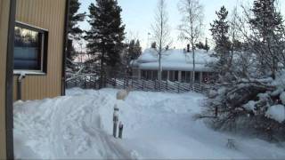 Winter in Muonio Lapland Finland [upl. by Sumerlin]