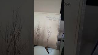 Fleetwood Mac Bare Trees versão US 1972 [upl. by Adabelle624]