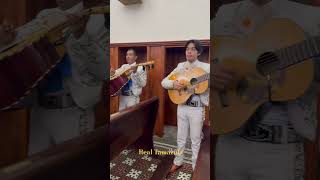 Mariachi Real Tamazula Candilejas [upl. by Reggy]