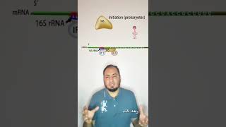 Inhibition of protein synthesis تثبيط تصنيع البروتين في البكتريت medicalstudent microbiology [upl. by Annala]