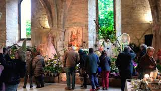 Sylvana Plantes 29e Exposition International d’ Orchidées a l’Abbaye de Vaucelles 2019 [upl. by Nerral]