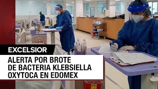 ¿Qué tan peligrosa es la klebsiella oxytoca bacteria detectada en Edomex [upl. by Irem]