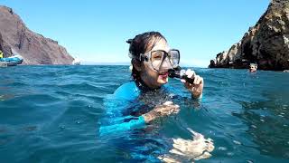 Top 10 Reasons to Snorkel the Galapagos [upl. by Ahcrop]