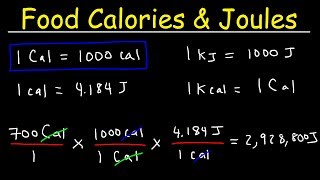 Joules Food Calories amp Kilojoules  Unit Conversion With Heat Energy  Physics Problems [upl. by Charmine]