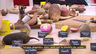 Curcuma gingembre maca  quels sont les bienfaits des racines [upl. by Licastro]