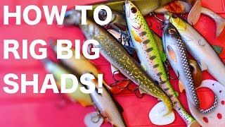 HOW TO Rig big soft plastic shads swimbaits  Pike fishing Lures [upl. by Alaehs]