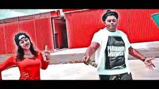 Longdrive  AJ amp Tigri Boy ft Sallo Official Video [upl. by Aneliram]