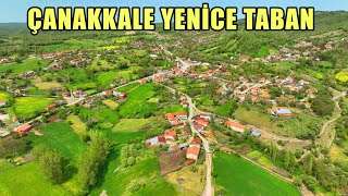 Kaz Dağlarında Çanakkale Yenice Taban Köyü Drone Videoları [upl. by Annirok]