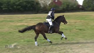 Rachel Higgins amp Kronos Waredaca 3Day Cassic amp Horse Trials 2024 [upl. by Car]