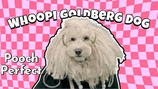 I Groomed and Dressed a dog to look like Whoopi Goldberg [upl. by Jean473]