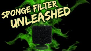 Sponge Filter Unleashed Set up mods and more [upl. by Terese]