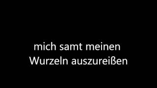 Zupfgeigenhansel Andre die das Land so sehr nicht liebten text [upl. by Ceevah]