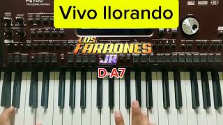 Vivo llorando  Tutorial [upl. by Tiersten654]