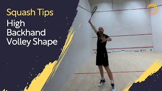 Squash Tips High Backhand Volley Shape [upl. by Gnilrad805]