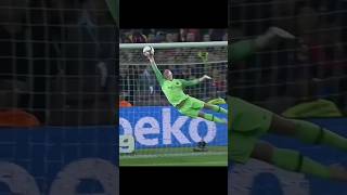 Epic Goalkeeper Saves 🧤🧤 Subscribe For More goalkeeper football messi ronaldo [upl. by Titus]