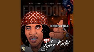 VYBZ KARTEL FREEDOM [upl. by Nitsid]