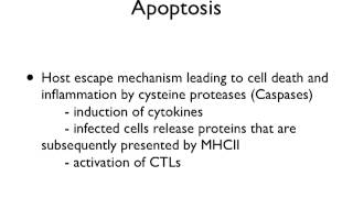 Viral Evasion Strategies Lecture 15 [upl. by Ephrem]