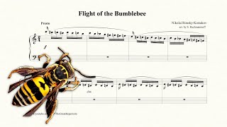 Flight of the Bumblebee RimskyKorsakov [upl. by Bonina]