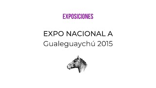 EXPOSICIONES Nacional A de Caballos Criollos Gualeguaychú 2015  Bloque 2 [upl. by Juetta]