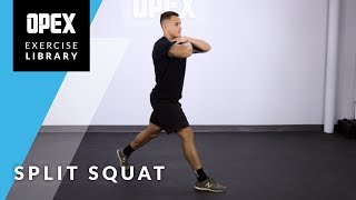 Split Squat [upl. by Ellyn]